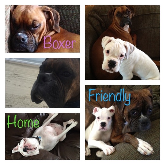 Meet your Posher, Meghan - Picture 2 of 2